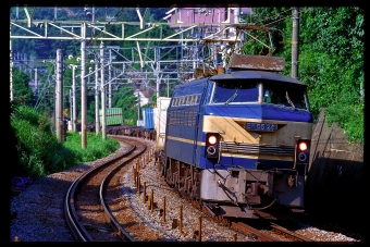 JR西日本 国鉄EF66形電気機関車 EF66 24 鉄道フォト・写真 by 丹波篠山さん 根府川駅：1997年08月23日00時ごろ