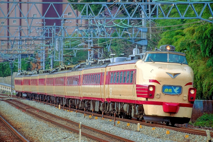 JR西日本 国鉄485系電車 白鳥 クハ481-126 山崎駅 (京都府) 鉄道フォト・写真 by 丹波篠山さん | レイルラボ(RailLab)