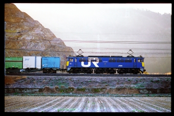 JR貨物 国鉄EF65形電気機関車 EF65 1059 鉄道フォト・写真 by 丹波篠山さん 近江長岡駅：1997年03月14日00時ごろ