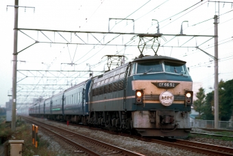 JR西日本 国鉄EF66形電気機関車 あさかぜ(特急) EF66 52 鉄道フォト・写真 by 丹波篠山さん 藤沢駅 (JR)：1999年11月23日00時ごろ