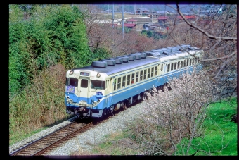 よしの川(急行) 鉄道フォト・写真