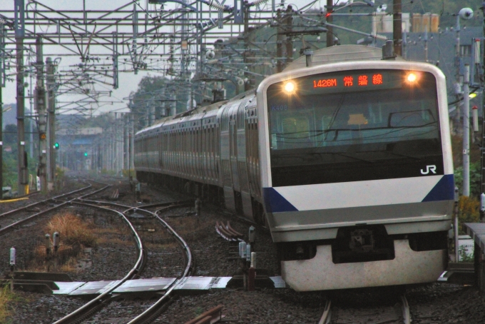 JR東日本 クハE530形 クハE530-8 鉄道フォト・写真 by 丹波篠山さん 佐貫駅：2013年10月25日16時ごろ