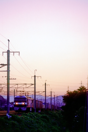 JR貨物 EF210形 EF210-16 鉄道フォト・写真 by 丹波篠山さん 高槻駅：2004年06月14日00時ごろ