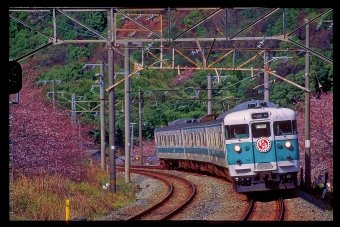 クハ111-7036 鉄道フォト・写真