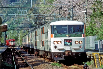 踊り子(特急) 鉄道フォト・写真
