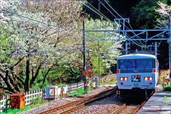 クハ185-15 鉄道フォト・写真