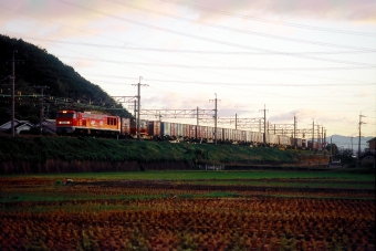 JR貨物 EF510形 EF510-5 鉄道フォト・写真 by 丹波篠山さん 高槻駅：2006年10月26日00時ごろ