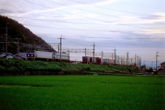 JR貨物 EF200形 EF200-9 鉄道フォト・写真 by 丹波篠山さん 高槻駅：2005年07月13日00時ごろ