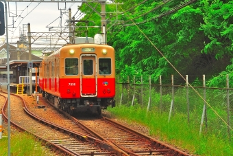 阪神 武庫川線 鉄道フォト・写真