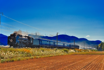 D51 200 鉄道フォト・写真
