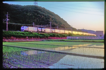 JR貨物 Mc250形 Mc250-1 鉄道フォト・写真 by 丹波篠山さん 高槻駅：2004年06月02日00時ごろ