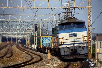 JR貨物 国鉄EF66形電気機関車 EF66 5 鉄道フォト・写真 by 丹波篠山さん 山崎駅 (京都府)：1998年02月15日00時ごろ