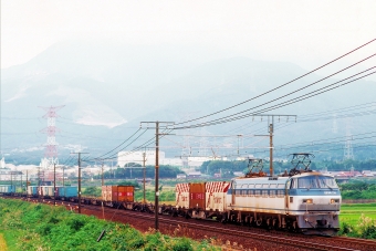 JR貨物 国鉄EF66形電気機関車 EF66 116 鉄道フォト・写真 by 丹波篠山さん 柏原駅 (滋賀県)：1999年10月10日00時ごろ