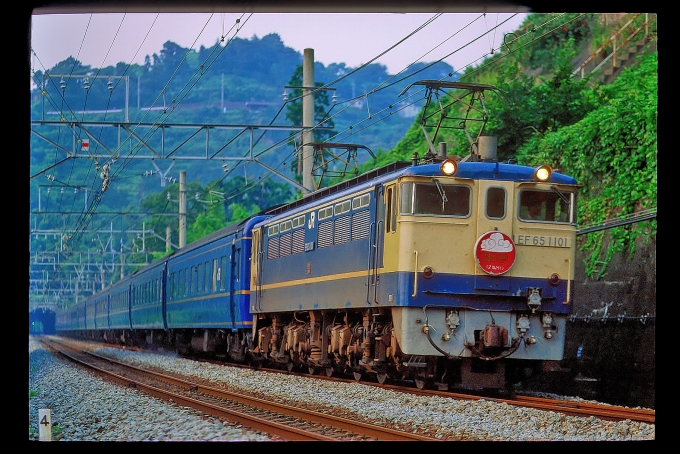 JR東日本 国鉄EF65形電気機関車 出雲 EF65 1101 根府川駅 鉄道フォト