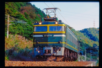 JR西日本 国鉄EF81形電気機関車 EF81 114 鉄道フォト・写真 by 丹波篠山さん 敦賀駅 (JR)：1997年11月04日00時ごろ