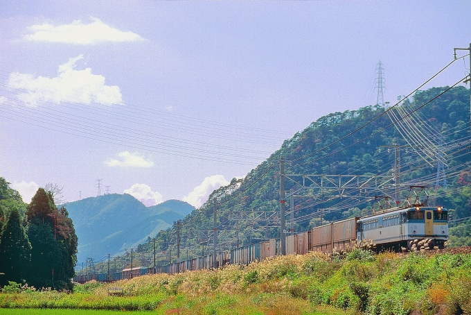 鉄道フォト・写真：JR貨物 国鉄EF65形電気機関車 EF65 1008 近江長岡駅 鉄道フォト・写真 by 丹波篠山さん - 撮影日 1997/10/14 00:00