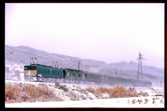 トワイライトエクスプレス(特急) 鉄道フォト・写真