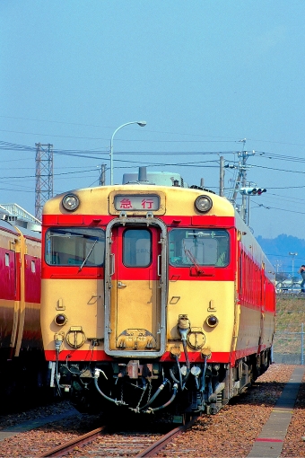 のりくら(急行) 鉄道フォト・写真