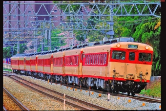 JR西日本 国鉄キハ58系気動車 キハ58形 キハ58 1037 鉄道フォト・写真 by 丹波篠山さん 山崎駅 (京都府)：1999年04月08日00時ごろ