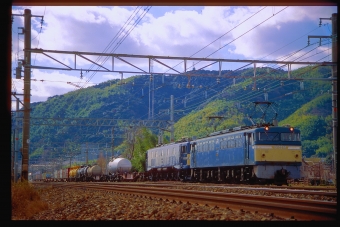 JR貨物 国鉄EF65形電気機関車 EF65 98 鉄道フォト・写真 by 丹波篠山さん 山崎駅 (京都府)：1998年02月11日00時ごろ