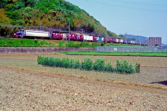 EF200-901 鉄道フォト・写真