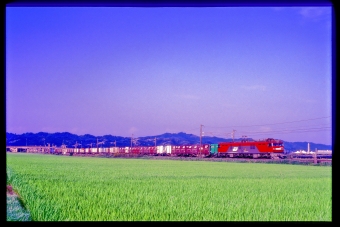 JR貨物 EH500形 EH500-25 鉄道フォト・写真 by 丹波篠山さん 久田野駅：2004年07月18日00時ごろ