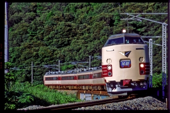 クハ481-337 鉄道フォト・写真