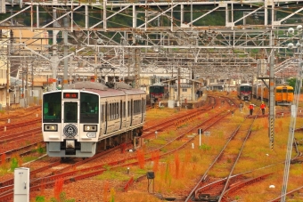 ラ・マル しまなみ(快速) 鉄道フォト・写真