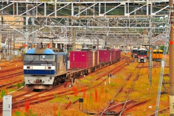 JR貨物 EF210形 EF210-154 鉄道フォト・写真 by 丹波篠山さん 糸崎駅：2021年10月24日13時ごろ