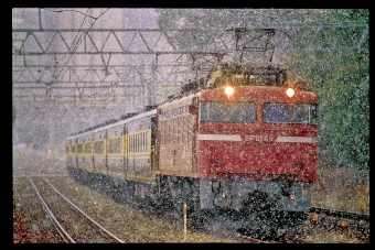 JR西日本 国鉄14系客車 スロフ14形 サロンカーなにわ EF81 46 鉄道フォト・写真 by 丹波篠山さん 山崎駅 (京都府)：1999年02月27日00時ごろ