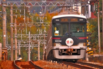 神戸電鉄6000系 鉄道フォト・写真