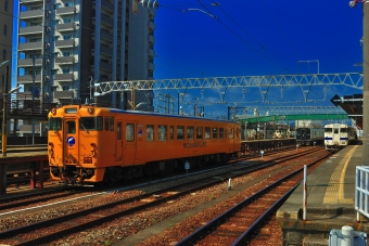 キハ40 8097 鉄道フォト・写真