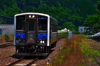キハ31形 鉄道フォト・写真