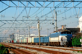JR貨物 国鉄EF66形電気機関車 EF66 13 鉄道フォト・写真 by 丹波篠山さん 藤沢駅 (JR)：1999年11月06日00時ごろ