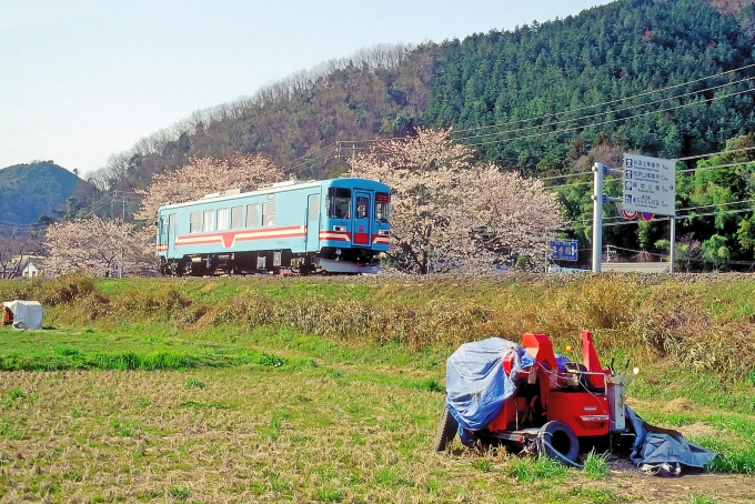 鉄道フォト・写真：樽見鉄道ハイモ295-510形気動車 ハイモ295-516 木知原駅 鉄道フォト・写真 by 丹波篠山さん - 撮影日 2006/04/09 00:00