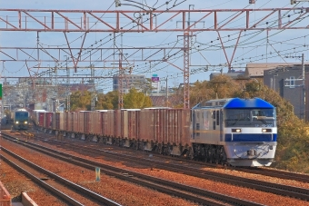EF210-337 鉄道フォト・写真