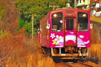 錦川鉄道 イメージ写真
