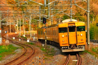 クハ111-2053 鉄道フォト・写真