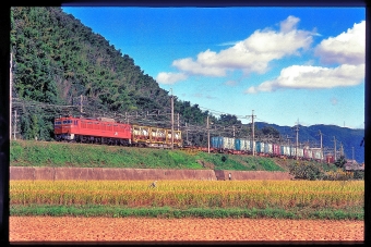 JR東日本 国鉄EF81形電気機関車 EF81 76 鉄道フォト・写真 by 丹波篠山さん 高槻駅：1999年10月12日00時ごろ