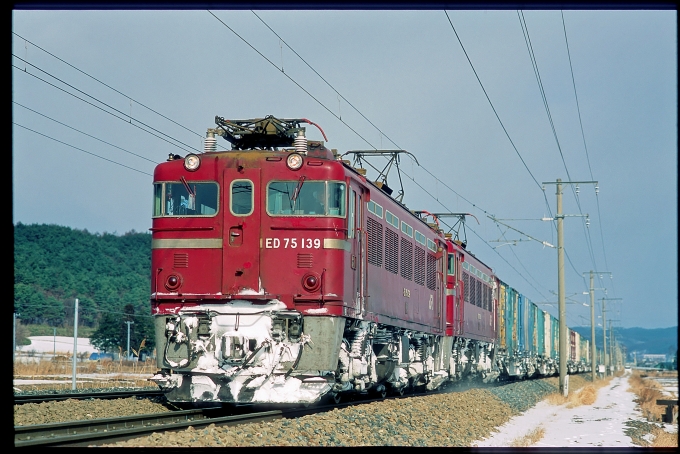 JR貨物 国鉄ED75形電気機関車 ED75 139 鉄道フォト・写真 by 丹波篠山さん 好摩駅 (いわて銀河)：2001年01月08日00時ごろ