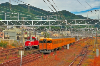 クハ115-1401 鉄道フォト・写真