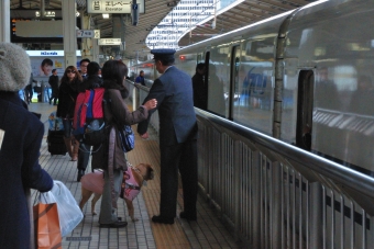 JR東海 786形(M`) 786-80 鉄道フォト・写真 by 丹波篠山さん 品川駅 (JR)：2012年12月19日10時ごろ