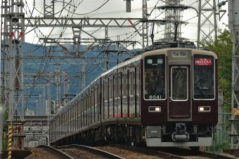 日生エクスプレス(特急) 鉄道フォト・写真