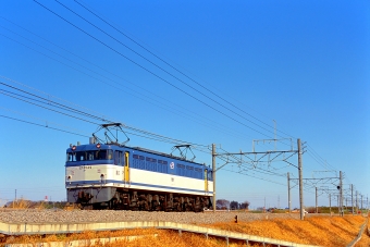 JR貨物 国鉄EF65形電気機関車 EF65 49 鉄道フォト・写真 by 丹波篠山さん 岡部駅：2002年03月21日00時ごろ