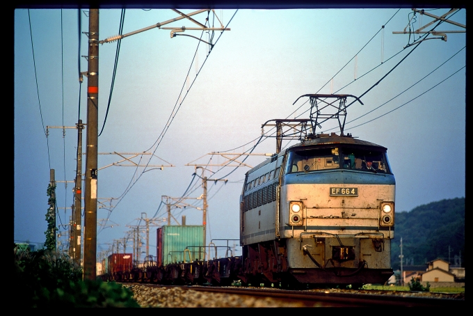 JR貨物 国鉄EF66形電気機関車 EF66 4 鉄道フォト・写真 by 丹波篠山さん 中庄駅：2002年10月14日00時ごろ