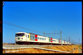 クハ185-209 鉄道フォト・写真