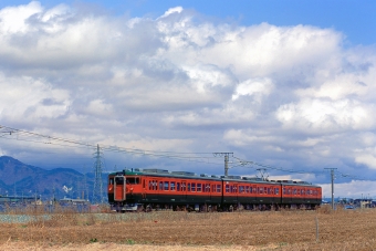 クハ115-614 鉄道フォト・写真