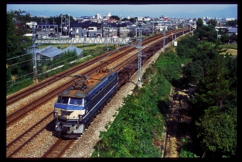 JR貨物 国鉄EF66形電気機関車 EF66 41 鉄道フォト・写真 by 丹波篠山さん 山崎駅 (京都府)：1999年10月11日00時ごろ