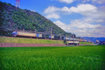 JR貨物 EF200形 EF200-4 鉄道フォト・写真 by 丹波篠山さん 高槻駅：1997年07月29日00時ごろ