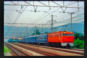 ムーンライト松山(快速) 鉄道フォト・写真